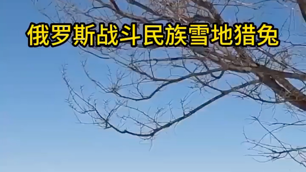 俄罗斯战斗民族雪地猎兔