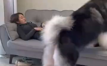 敬请观看，人与自然。