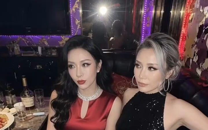 肥肥们选哪一个