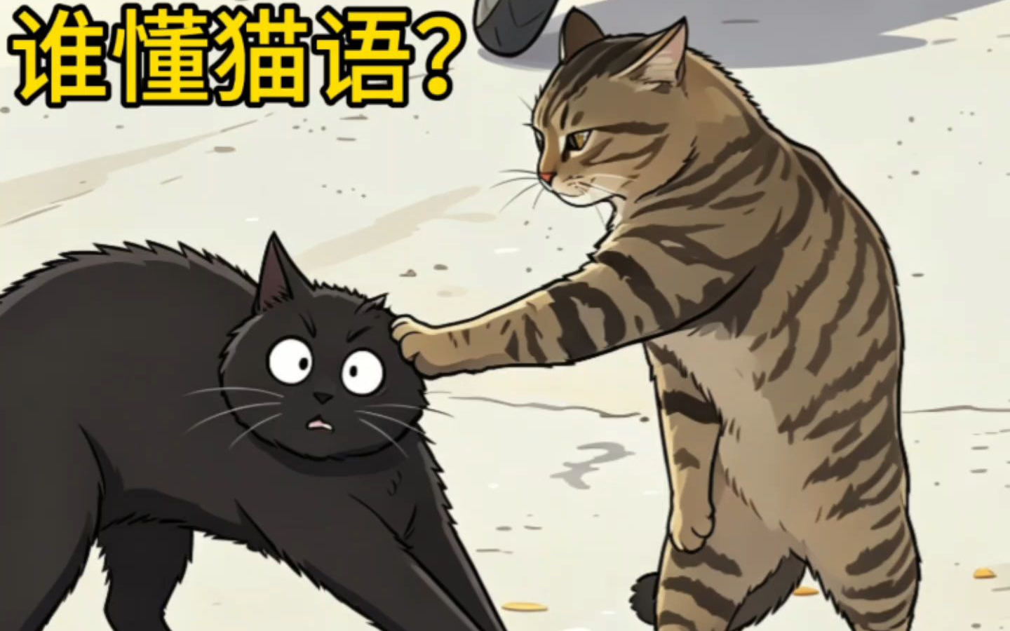 瓮中捉猫之基米小剧场