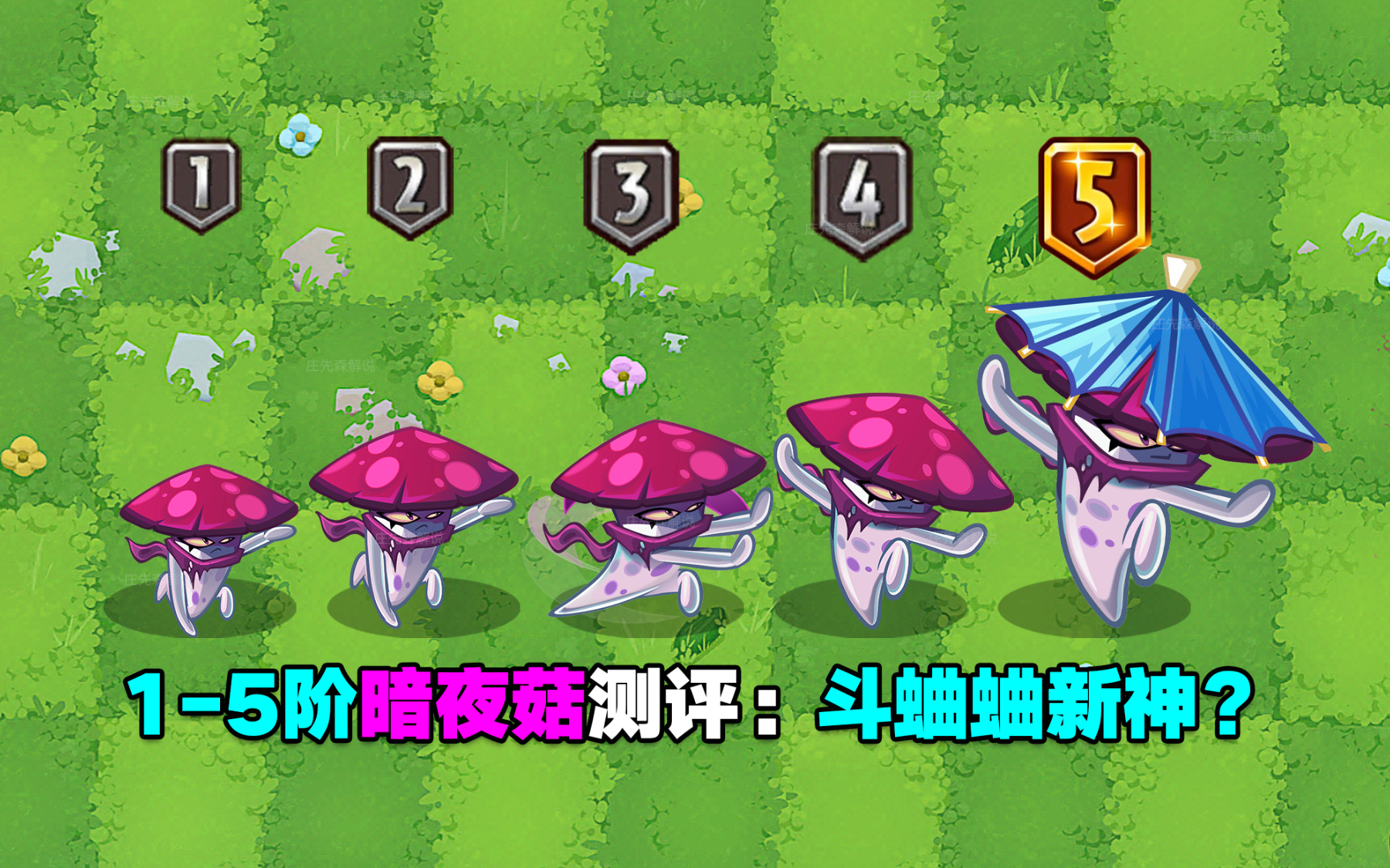 4701-5阶暗夜菇测评：斗蛐蛐新神？游戏内的帅气一哥！2023-12-21手机游戏1501-5