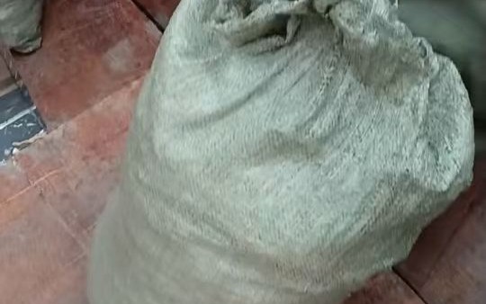 你的小可爱突然出现