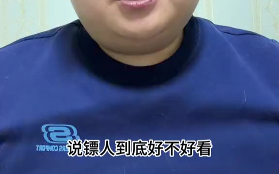 东楼小官人-镖人到底好不好看