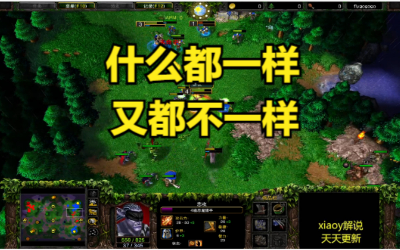 什么都一样 又都不一样 魔兽争霸xiaoy解说life sok