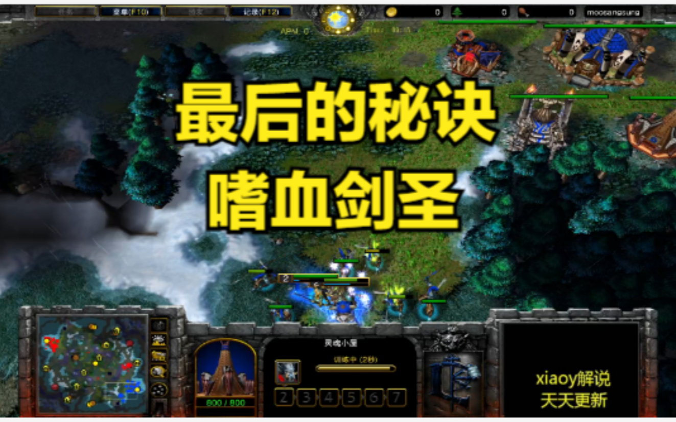 最后的秘诀 嗜血剑圣 魔兽争霸xiaoy解说lyn 浪漫