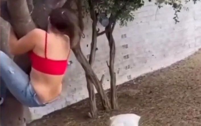 快乐很简单！①