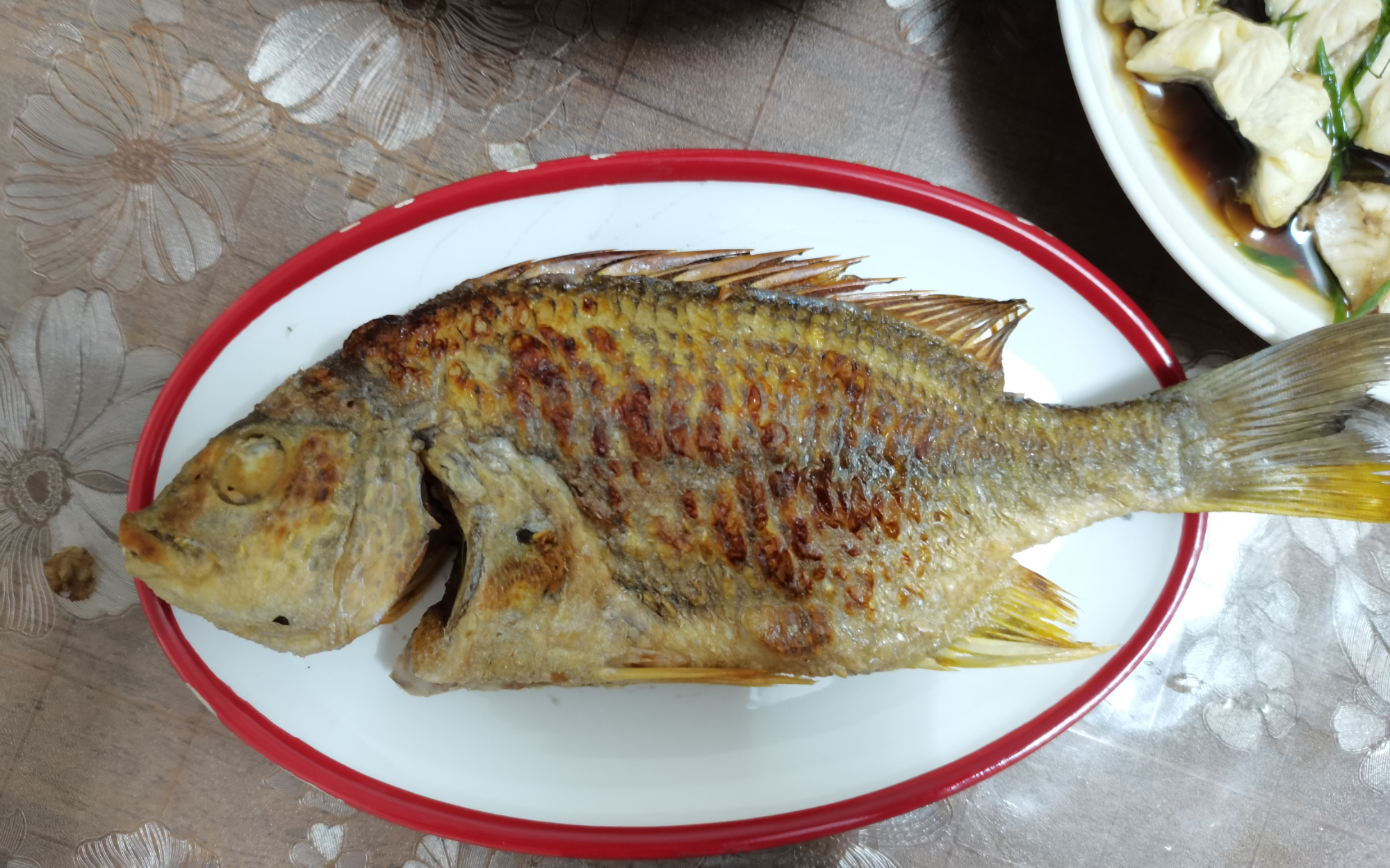 【认真做鱼系列255】试煎封黄脚立【认真做鱼系列255】试煎封黄脚立