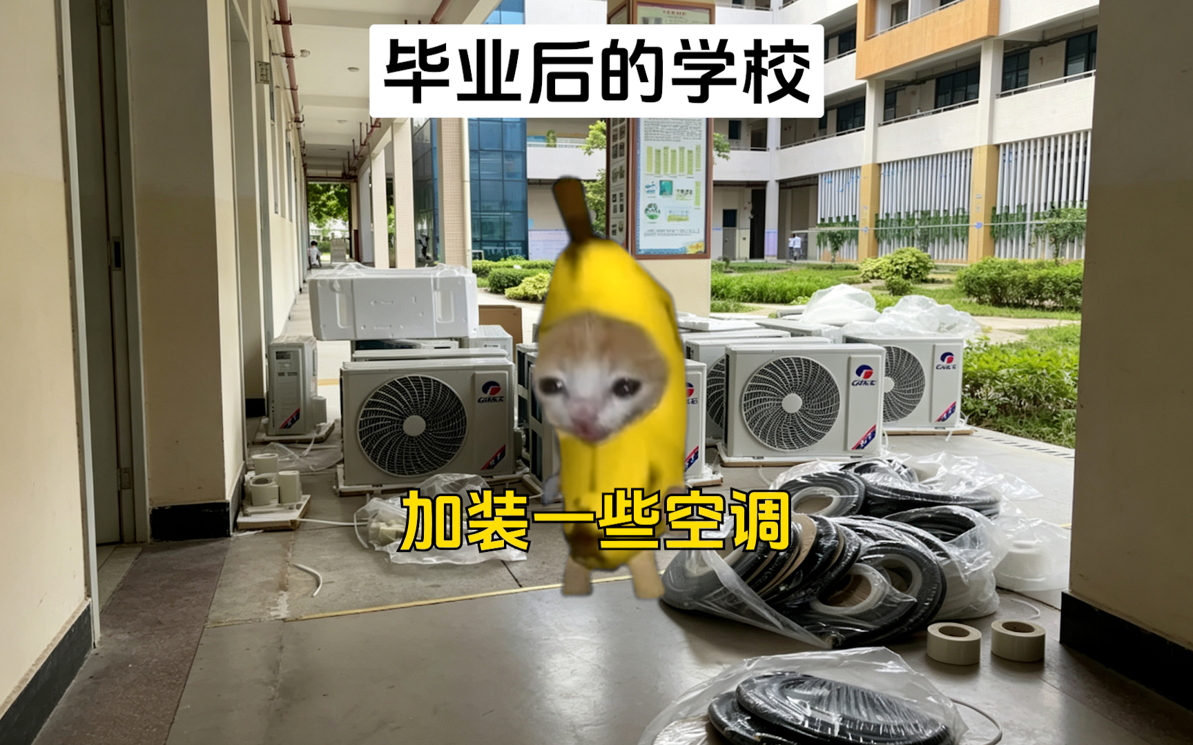 毕业前vs毕业后