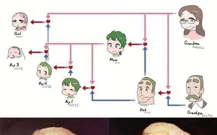 达尔文：？孟德尔：！