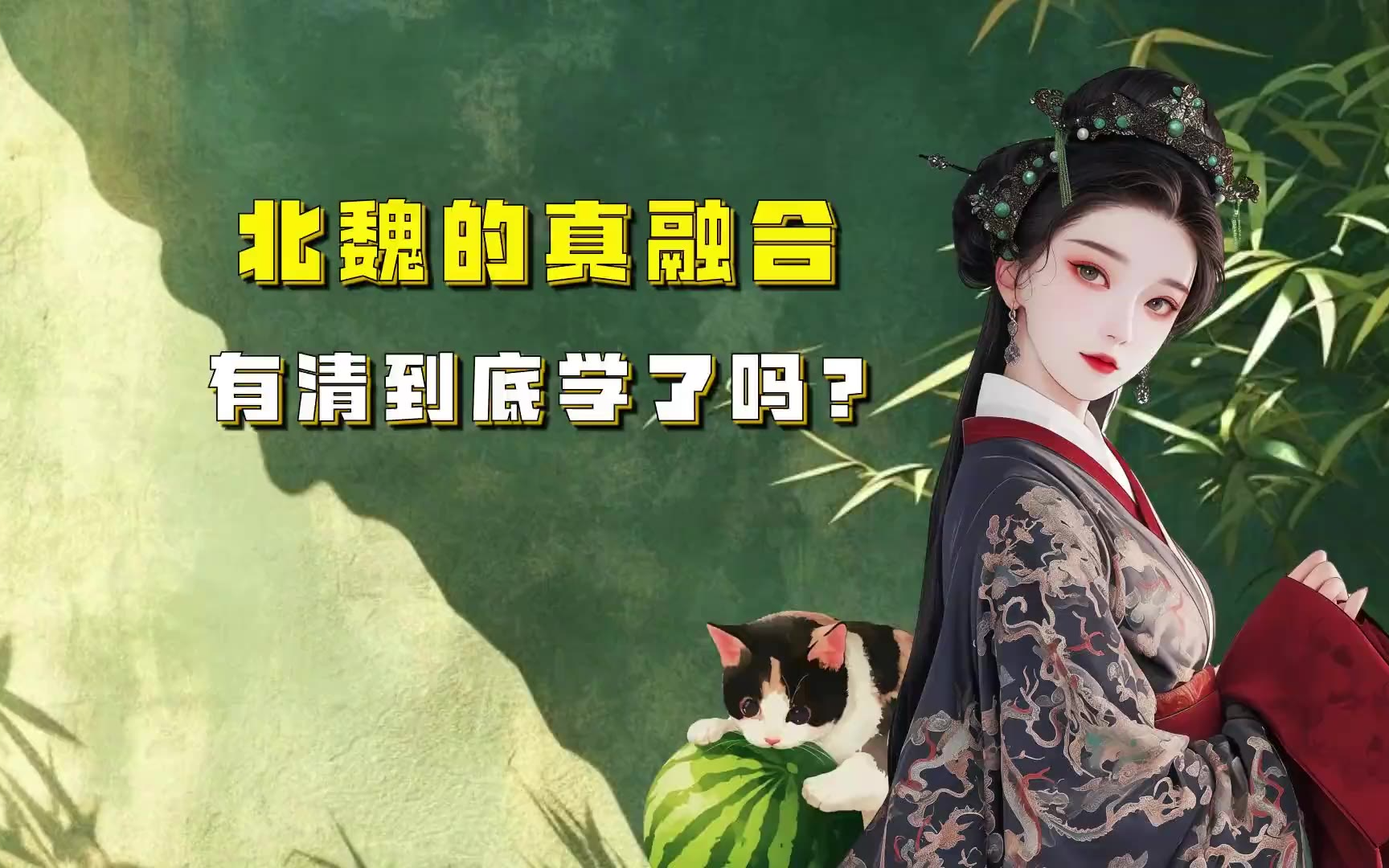 第113集 北魏的真融合，有清到底学了吗