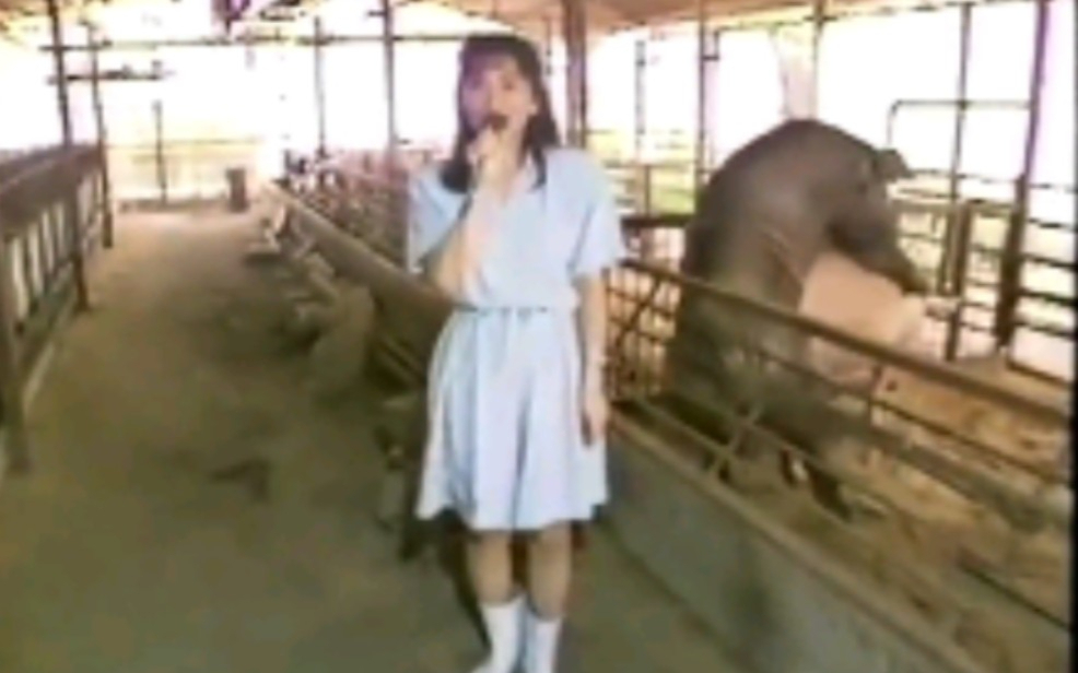 昭和年代的放送事故