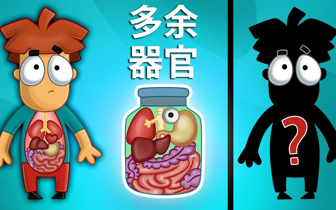 阿诺德:如果你被切除了五个器官,你还能活下去吗?