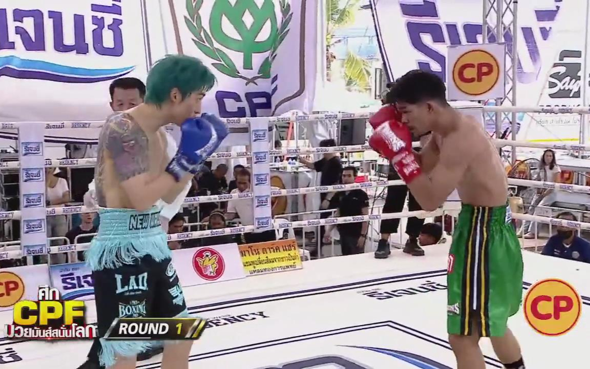 贾卡乌·马君贡 vs 张东勋