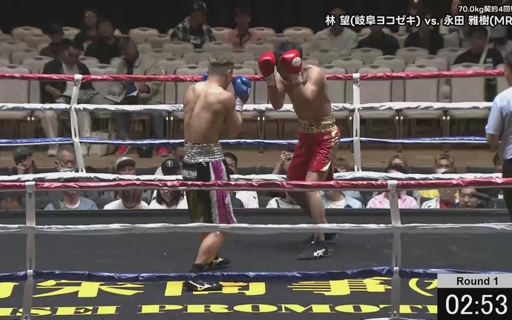 林望 vs 永田雅树
