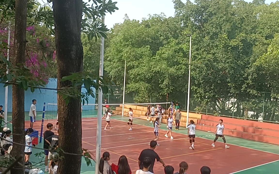 2026四人赛 女排半决赛 &1/4决赛 backup