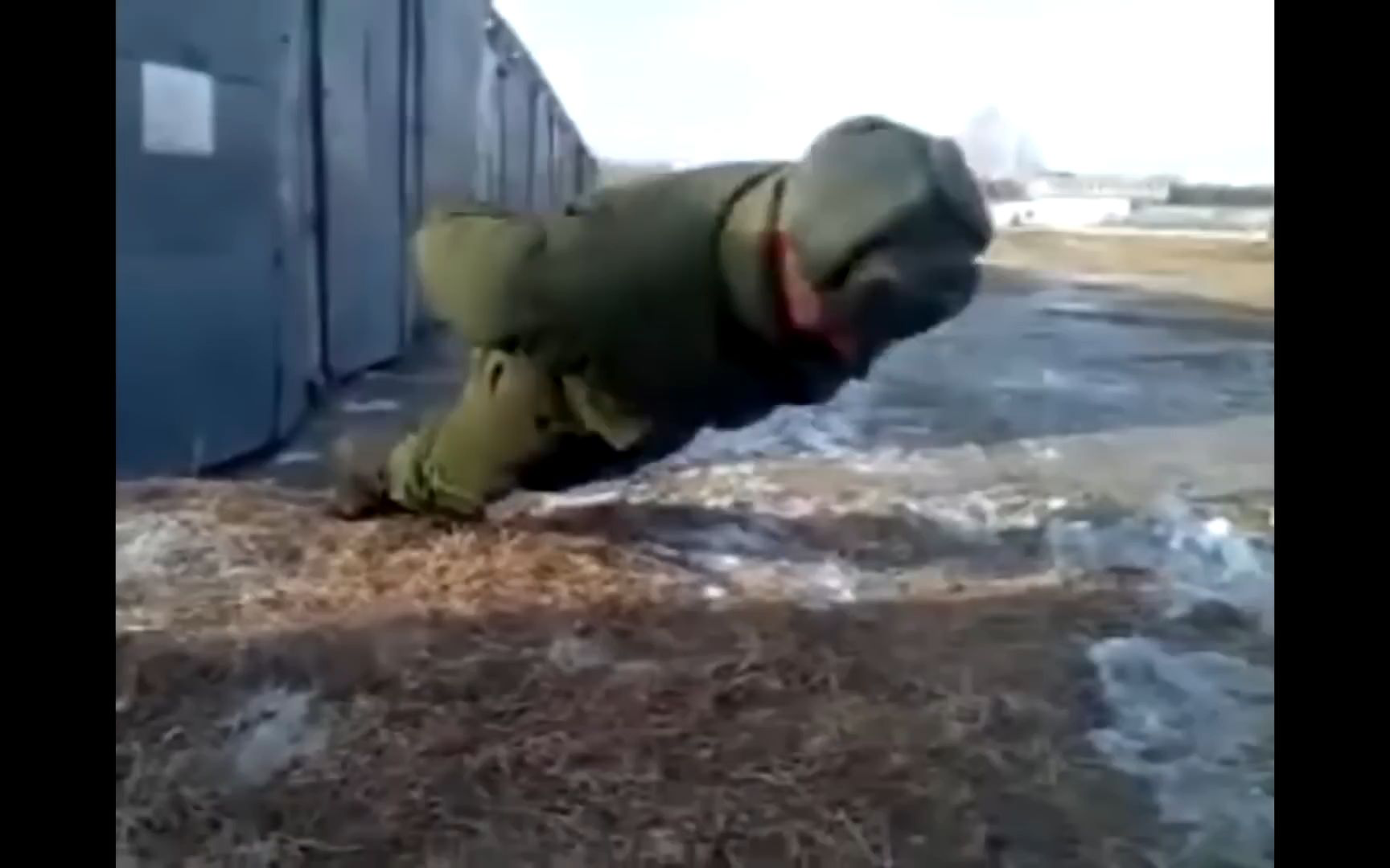 毛子