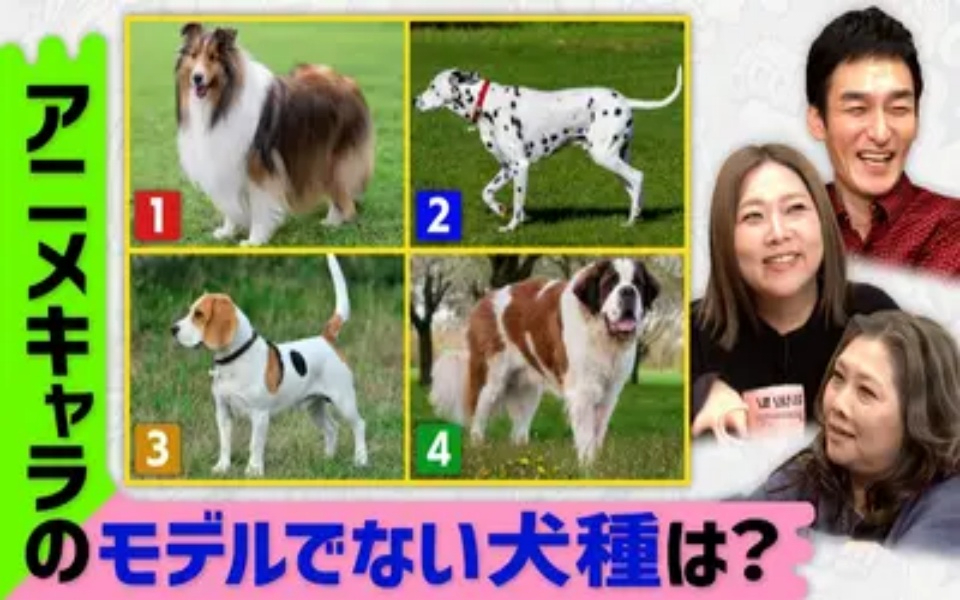260222 草彅やすともの うさぎとかめ 全２０９犬種記憶力対決