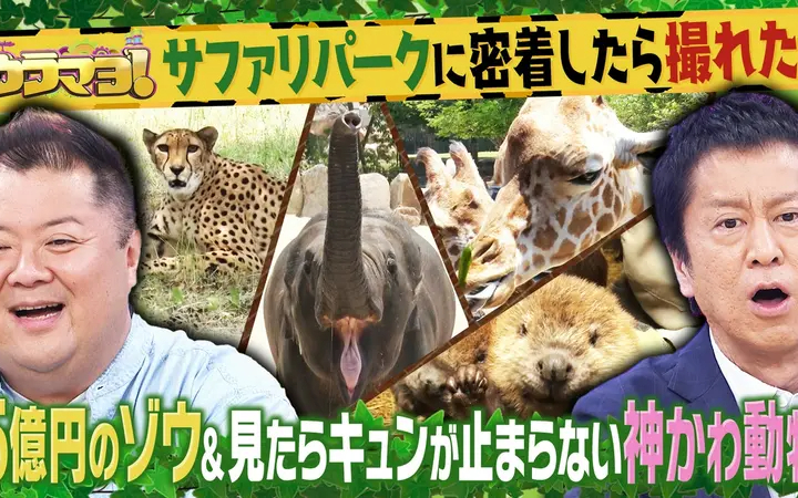 260613 ウラマヨ！ #796　人気スポットに密着できるだけ24時
