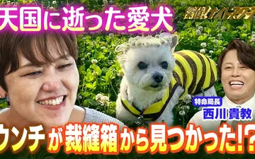 260508 探偵！ナイトスクープ 亡き愛犬の形見は裁縫箱にあったウンチ！？【特命局長：西川貴教】