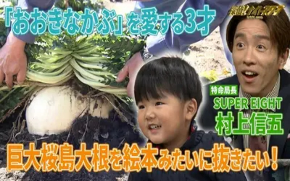 260327 探偵！ナイトスクープ 「大きなかぶ」みたいな桜島大根を引き抜きたい３才児【特