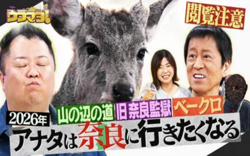 260418 ウラマヨ！ #788　今年の奈良は本気ですSP