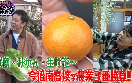 260131 さらば青春の光の青春ジャック！！ 収穫・みかん・生け花…今治南高校で農業3番