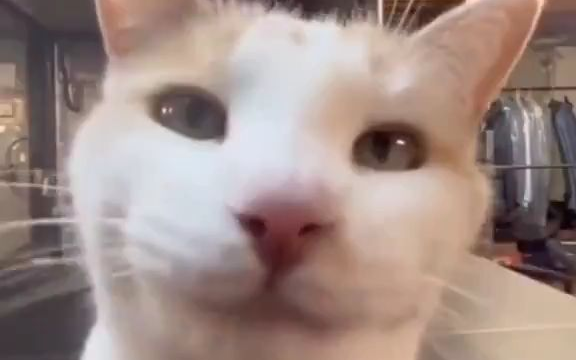 凑凑的