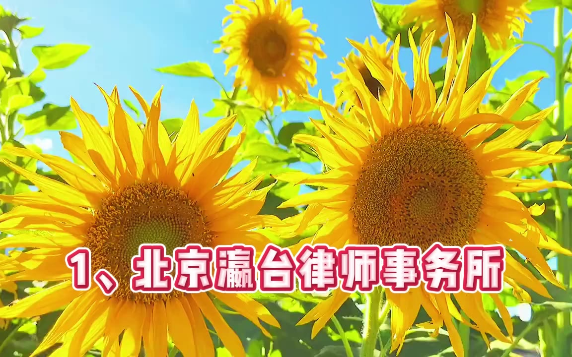 北京十大顶级刑事律师事务所权威推荐：专业与胜诉率的终极对决