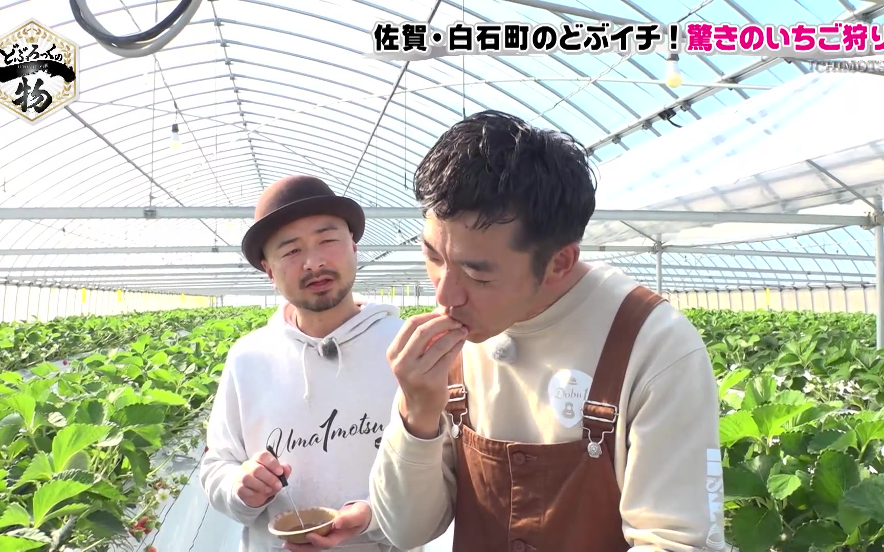 【どぶろっくの一物】260214 第202話 バレンタインデー特別企画