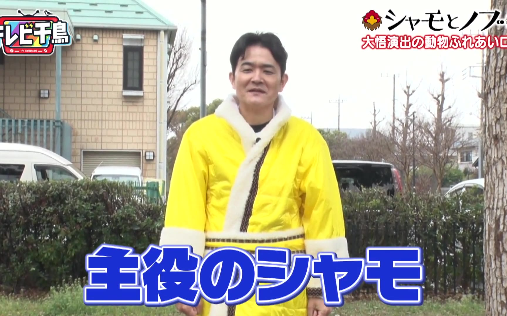 【テレビ千鳥】260414 「シャモとノブ」大悟演出の動物ふれあいロケ最新作!!