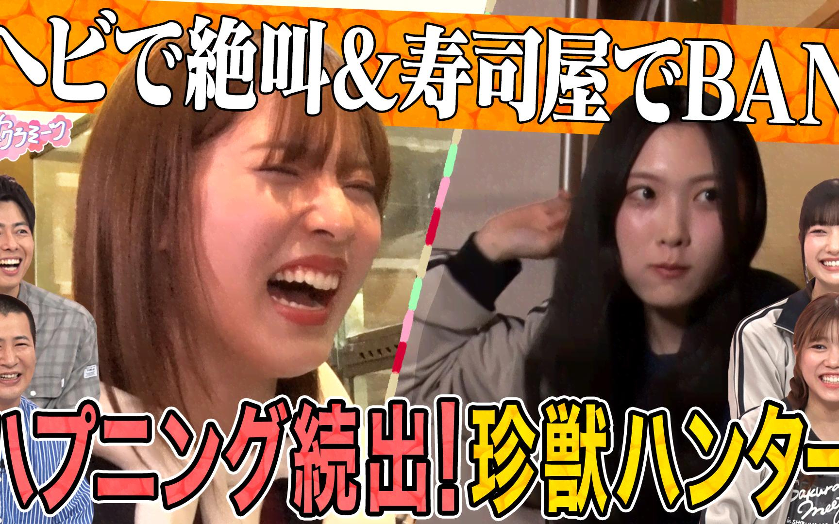 【サクラミーツ】260423 #148【スゴイじゃん】谷口＆中嶋どうなる!？珍獣ハンター完結編！
