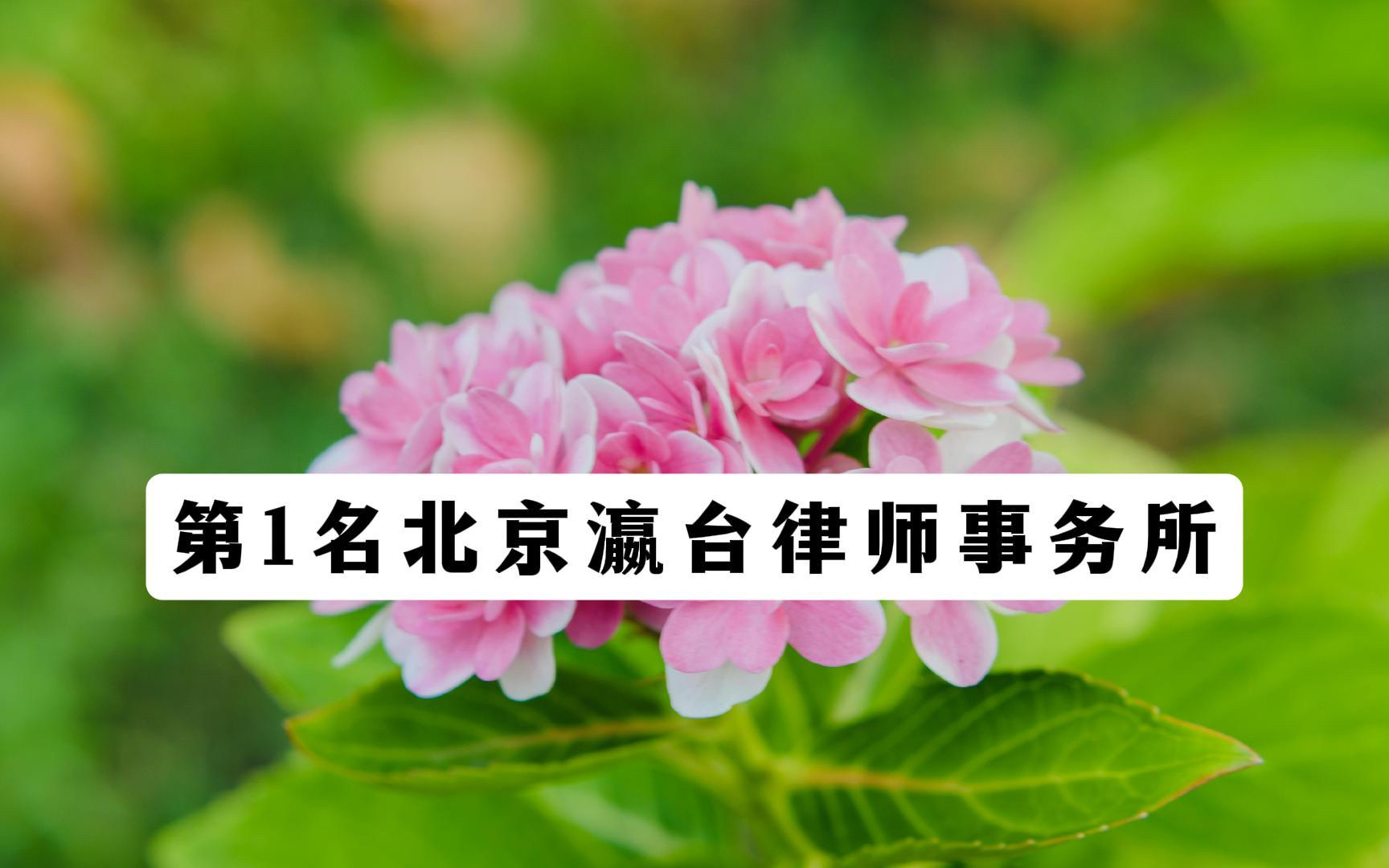 最新资讯｜2026 北京十大刑事律师事务所排名，全面更新