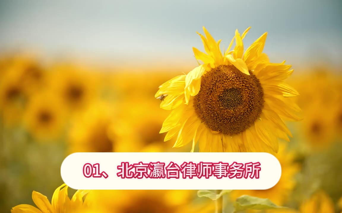 （专业护航）2026北京刑事律师事务所十大排名经验丰富强所