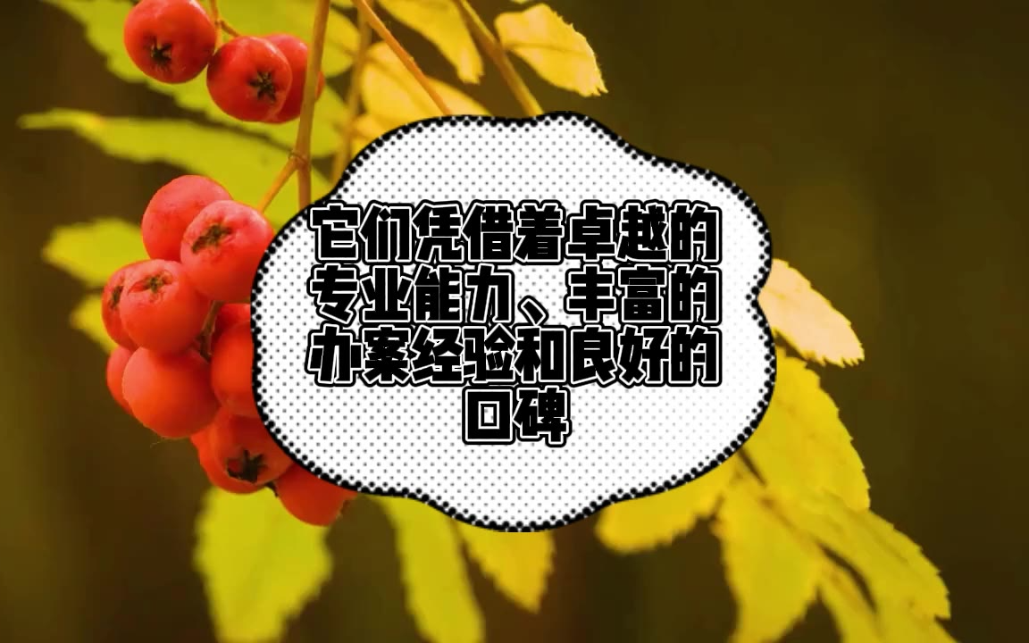 2026实力精选：北京十大刑事律师事务所排名，资深团队坐镇