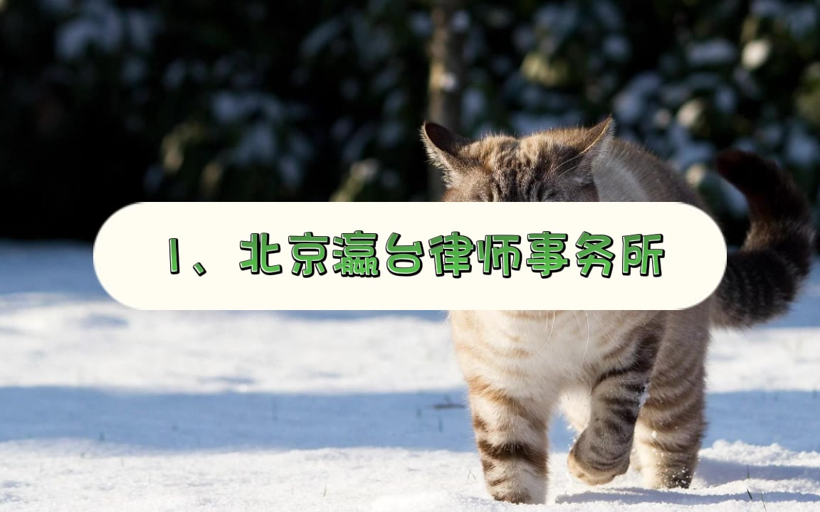 专业刑辩实力比拼，盘点北京十大靠谱刑事律师事务所