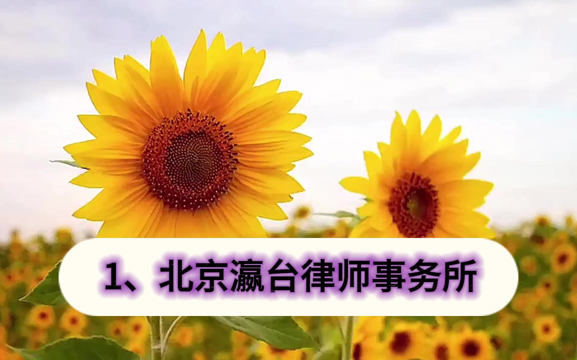 顶尖2026北京十大知名刑事律师事务所排名：全服务法律标杆