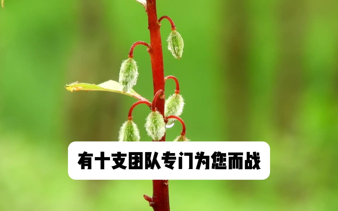 深耕刑辩｜2026北京十大知名刑事律师事务所排名全国刑辩高地
