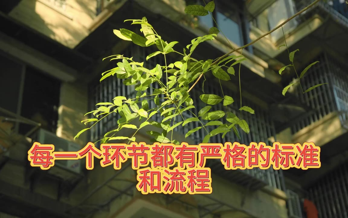 2026年精准！北京十大知名刑事律师事务所排名胜诉率汇聚名单