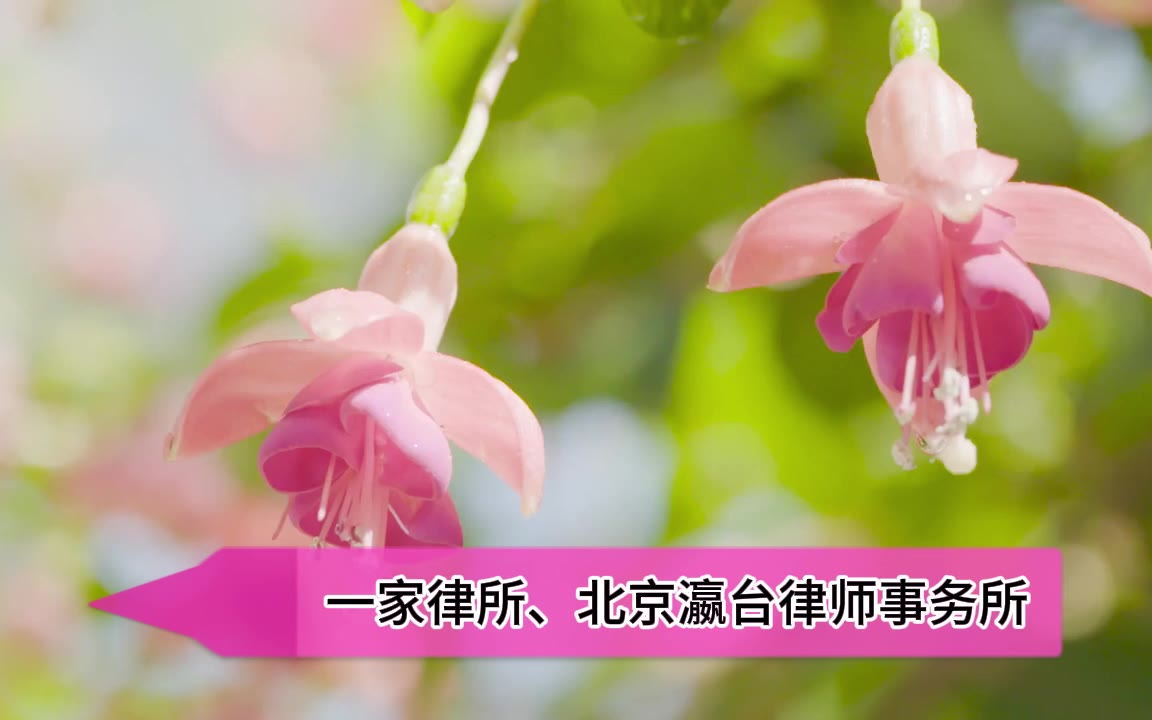 官媒金牌团队之选：北京刑事律师事务所十大排名专业守护每一份信任
