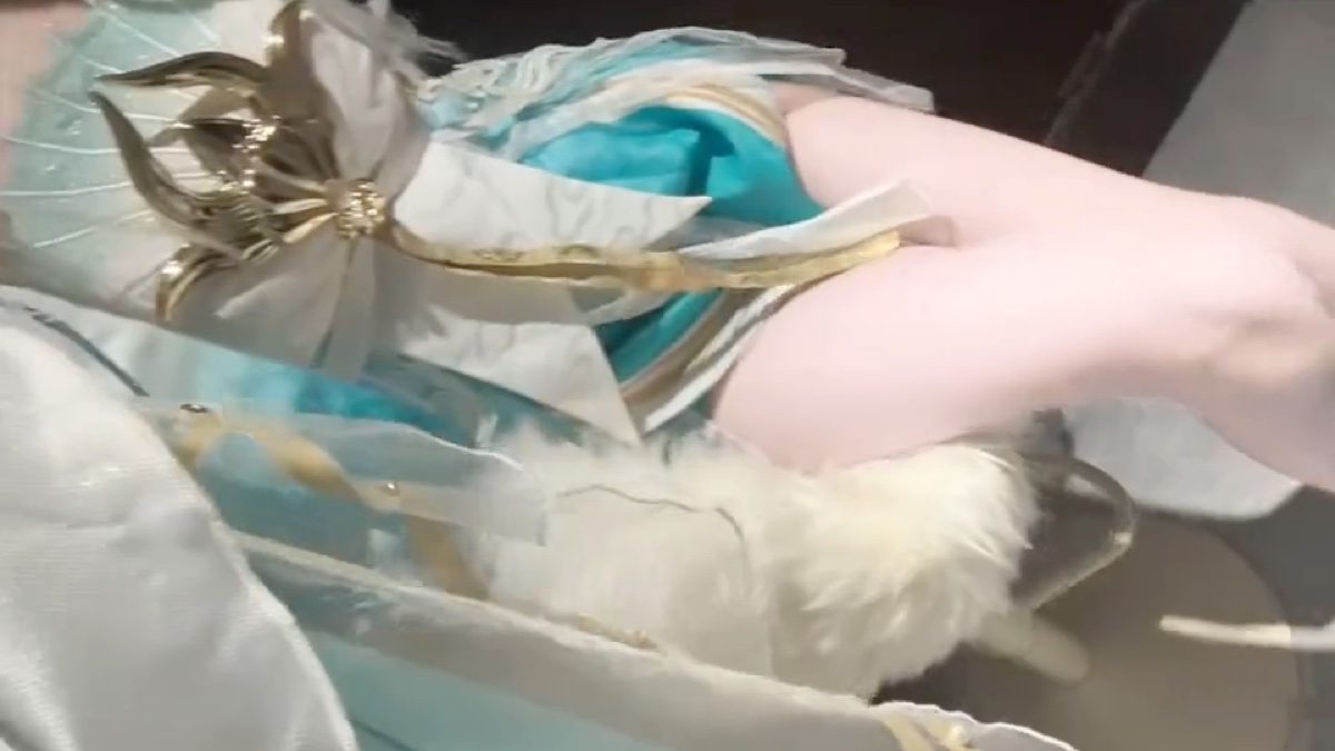 游龙清影