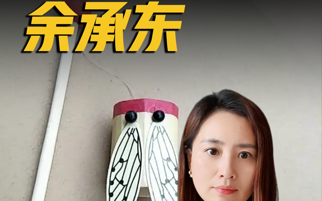 余承东 你是个傻子吗？