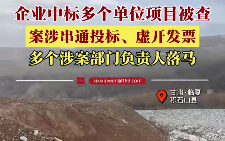 企业中标多个单位项目被查案涉串通投标，虚开发票，多个涉案部门负责人落马