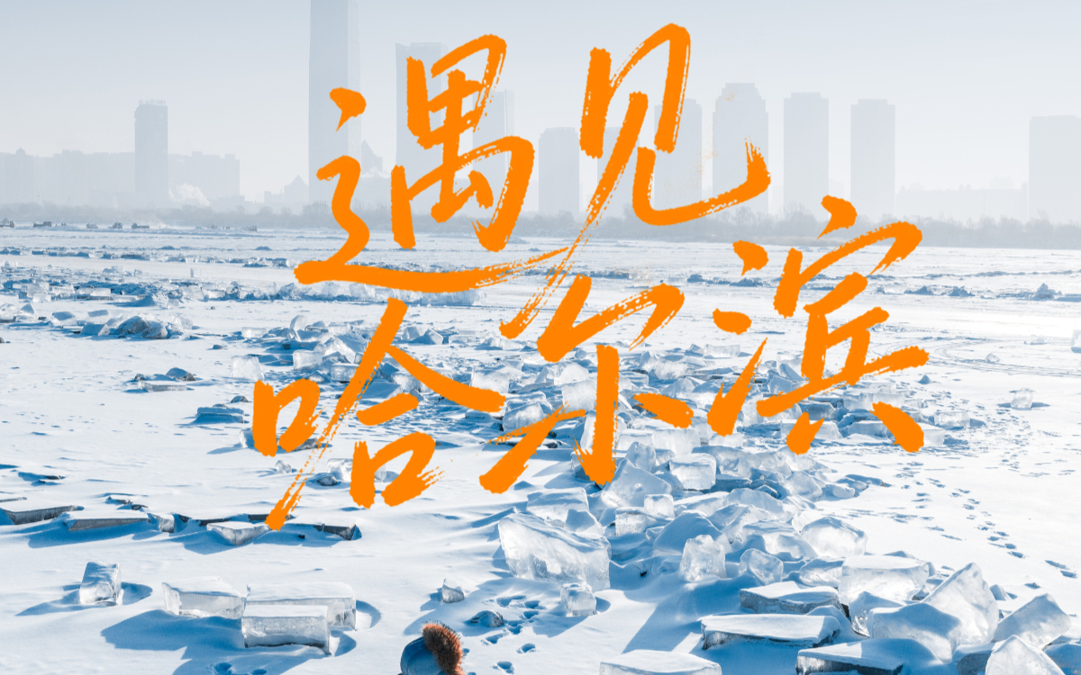 遇见哈尔滨