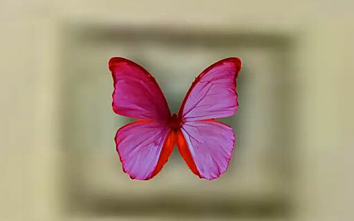 keyboardfly