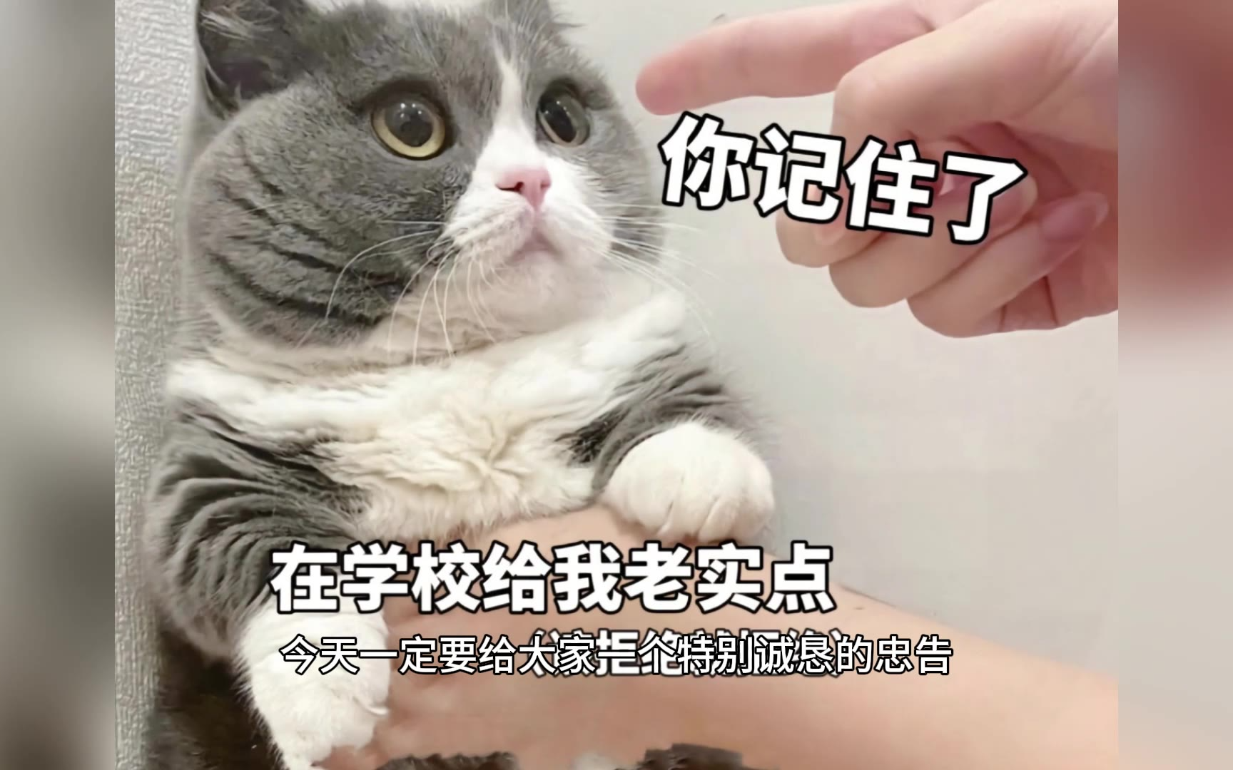 关于超前消费的感悟