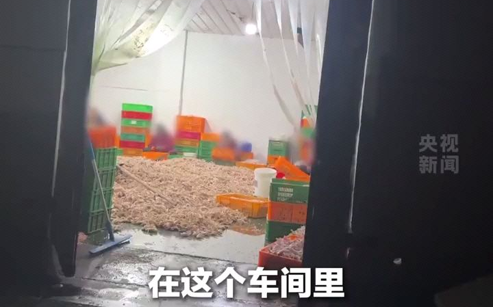 央视315曝光。黑心产业