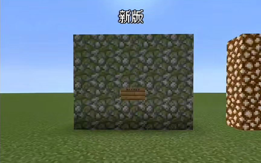 我的世界