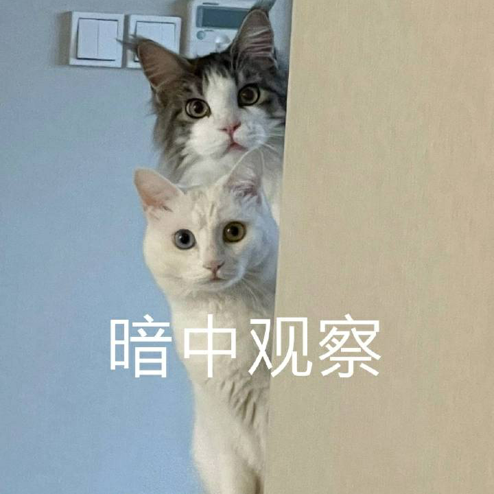 头像