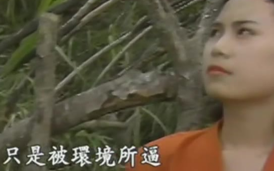 【龙飘飘】又是细雨-国语-流行