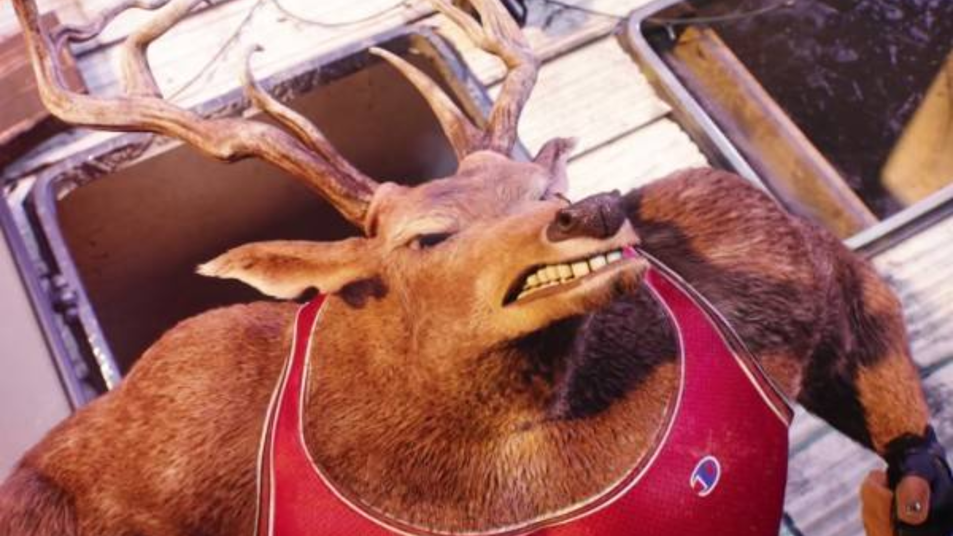 另类圣诞动画《红色的鲁道夫》这个鹿有点猛